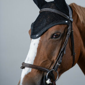 Bonnet decheval Filou Harcour