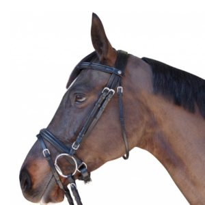 Bridon chetak privilège