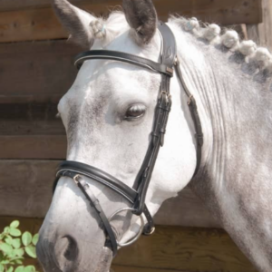 Bridon velazquez t de t