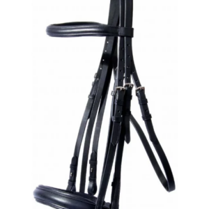 Bride de dressage t de t