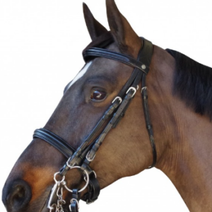 Bride canter privilège