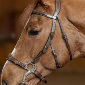 Bridon hackamore hfi
