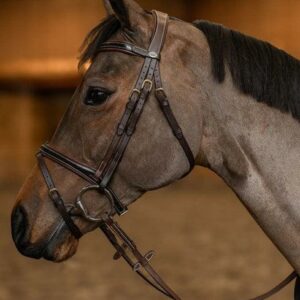 Bridon combiné painted hfi