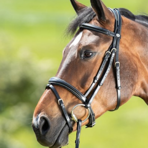 Bridon technical hfi