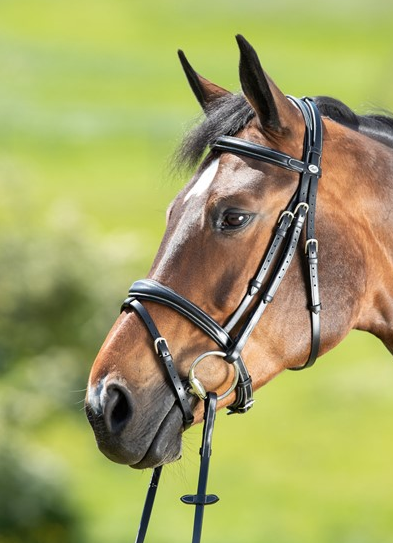 Bridon technical hfi