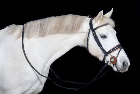 Bridon Matisse t de t