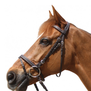 Bridon privilege grandville