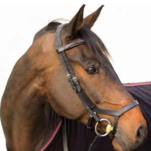 Bridon t de t bauner