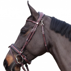 Bridon Madrid privilege