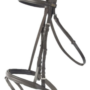 Brdion sisley t de t