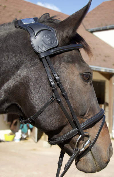 Bridon vargas t de t – Image 2