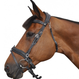 Bridon fc privilège