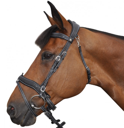 Bridon fc privilège