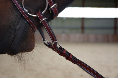 Rênes ajustables à poignées F&C – Image 2