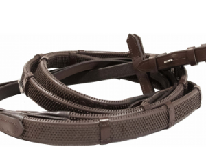 Rênes t de t arrêtoire