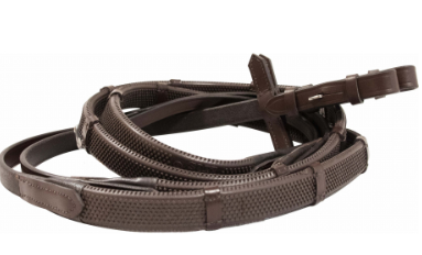 Rênes t de t arrêtoire