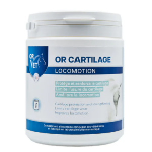 Or cartilage orvet 750grs