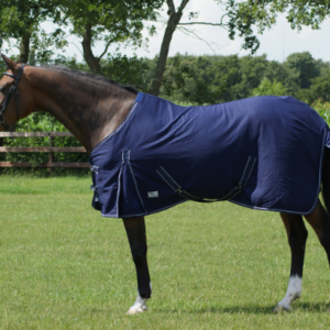 Chemise de boxe coton qhp