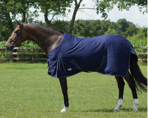 Chemise de boxe coton qhp