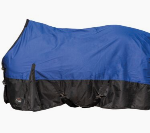 Couverture Alberta hkm