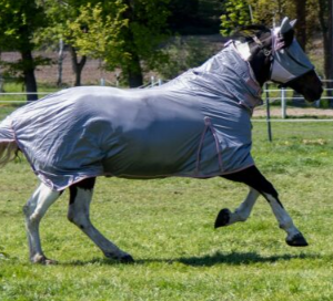 Couverture anti-mouches hkm