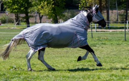 Couverture anti-mouches hkm