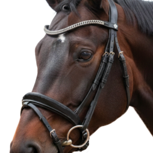 Bridon CANTER VALEGRO