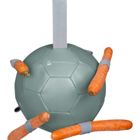 MYBALUML4526.png MYBALUML4526.png