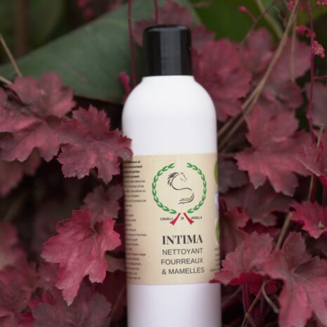 INTIMA-rotated