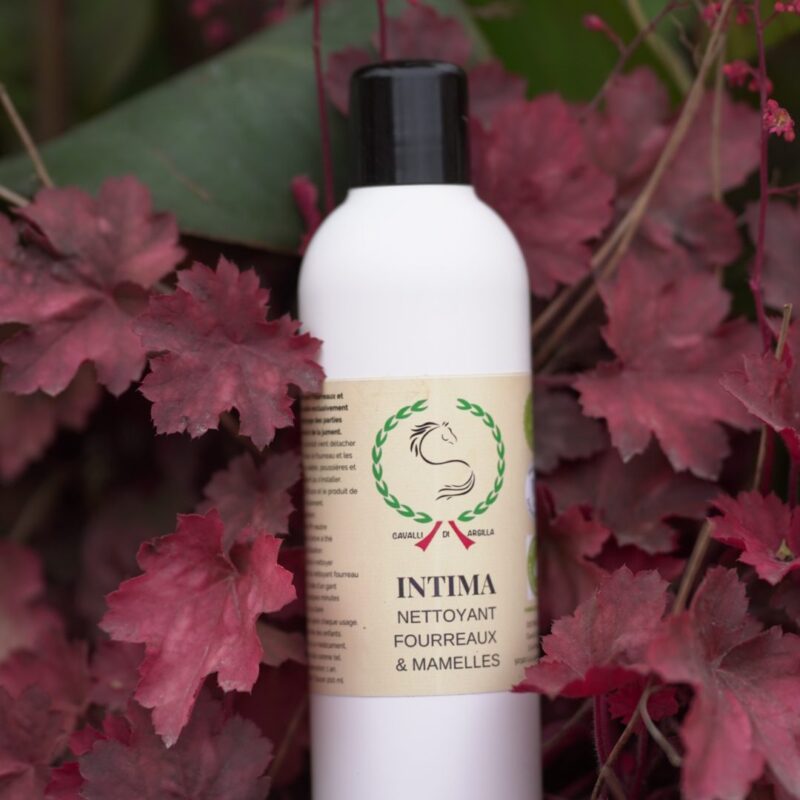 INTIMA-rotated