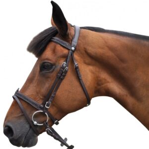 Bridon Canter Strass