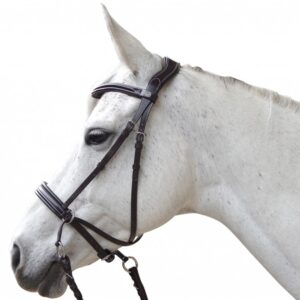Bridon CANTER Bitless Evolution