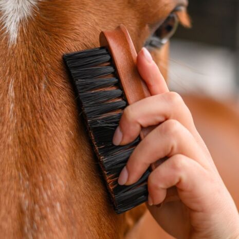 MYBALUML4741.jpg