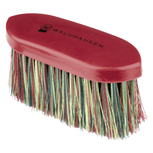 Brosse bouchon arc en ciel