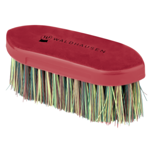Petite brosse Arc en ciel
